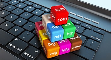 Web Hosting & Domain Registration